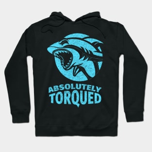 Absolutely torqued Funny quotes and memes Hoodie